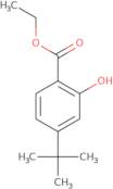 Ethyl 4-tert-butyl-2-hydroxybenzoate