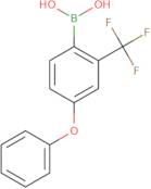 4-Phenoxy-2-(trifluoromethyl)phenylboronic acid