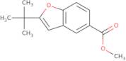 2-tert-Butylbenzofuran-5-carboxylic acid methyl ester