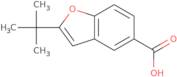 2-tert-Butyl-1-benzofuran-5-carboxylic acid