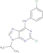 2-chloro-N-(3-chlorophenyl)-9-isopropyl-9H-purin-6-amine