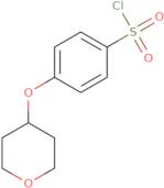 4-(Tetrahydropyran-4-yloxy)-benzenesulfonyl chloride