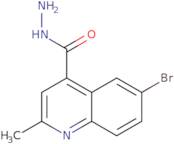 6-Bromo-2-methylquinoline-4-carbohydrazide