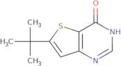 6-tert-Butyl-3H-thieno[3,2-d]pyrimidin-4-one