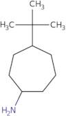 4-tert-Butylcycloheptan-1-amine