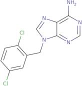 9-(2,5-Dichlorobenzyl)-9H-purin-6-amine