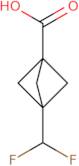 3-(Difluoromethyl)bicyclo[1.1.1]pentane-1-carboxylic acid