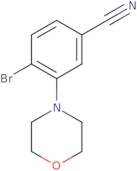 4-Bromo-3-morpholinobenzonitrile