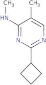 2-Cyclobutyl-N,5-dimethylpyrimidin-4-amine