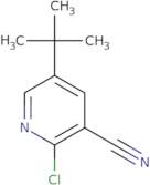 5-tert-Butyl-2-chloropyridine-3-carbonitrile