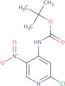 tert-Butyl 2-chloro-5-nitropyridin-4-ylcarbamate