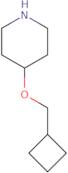 4-Cyclobutylmethoxy-piperidine