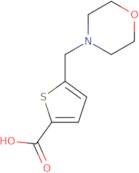 5-[(Morpholin-4-yl)methyl]thiophene-2-carboxylic acid