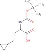 4-Cyclopropyl-2-[(2-methylpropan-2-yl)oxycarbonylamino]butanoic acid