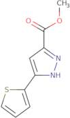 Methyl 5-thien-2-yl-1H-pyrazole-3-carboxylate