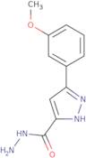 3-(3-Methoxyphenyl)-1H-pyrazole-5-carbohydrazide