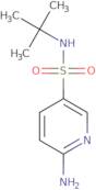 6-Amino-N-tert-butylpyridine-3-sulfonamide