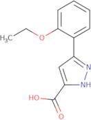 5-(2-Ethoxy-phenyl)-2H-pyrazole-3-carboxylic acid