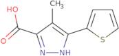 4-Methyl-5-thiophen-2-yl-2H-pyrazole-3-carboxylic acid