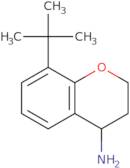 8-(tert-Butyl)chroman-4-amine