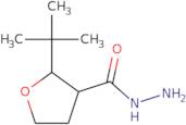 rac-(2R,3R)-2-tert-Butyloxolane-3-carbohydrazide