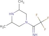 1-(3,5-Dimethylpiperazin-1-yl)-2,2,2-trifluoroethan-1-imine