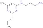 (3-Aminopropyl)(6-methyl-2-propyl-4-pyrimidinyl)amine