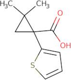 2,2-Dimethyl-1-(2-thienyl)cyclopropanecarboxylic acid