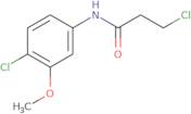 3-chloro-N-(4-chloro-3-methoxyphenyl)propanamide