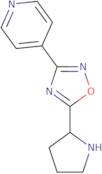 4-(5-Pyrrolidin-2-yl-1,2,4-oxadiazol-3-yl)pyridine