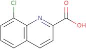 8-Chloroquinoline-2-carboxylic Acid