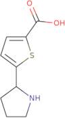 5-(Pyrrolidin-2-yl)thiophene-2-carboxylic acid