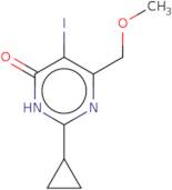 2-Cyclopropyl-5-iodo-6-(methoxymethyl)-3,4-dihydropyrimidin-4-one