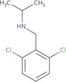 [(2,6-Dichlorophenyl)methyl](propan-2-yl)amine