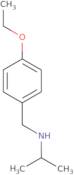 N-(4-Ethoxybenzyl)-2-propanamine