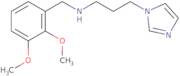 [(2,3-Dimethoxyphenyl)methyl][3-(1H-imidazol-1-yl)propyl]amine