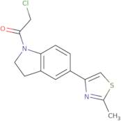 2-Chloro-1-[5-(2-methyl-1,3-thiazol-4-yl)-2,3-dihydro-1H-indol-1-yl]ethan-1-one