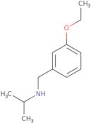 [(3-Ethoxyphenyl)methyl](propan-2-yl)amine