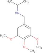 (Propan-2-yl)[(3,4,5-trimethoxyphenyl)methyl]amine