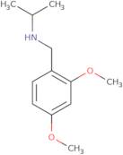 [(2,4-Dimethoxyphenyl)methyl](propan-2-yl)amine