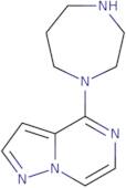 4-[1,4]Diazepan-1-yl-pyrazolo[1,5-a]pyrazine