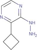 2-Cyclobutyl-3-hydrazinylpyrazine