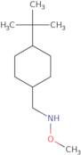 [(4-tert-Butylcyclohexyl)methyl](methoxy)amine