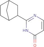 2-{Bicyclo[2.2.1]heptan-2-yl}-3,4-dihydropyrimidin-4-one