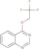 4-(2,2,2-Trifluoroethoxy)quinazoline