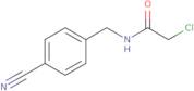 2-Chloro-N-[(4-cyanophenyl)methyl]acetamide