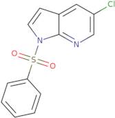 1-Benzenesulfonyl-5-chloro-1H-pyrrolo[2,3-b]pyridine