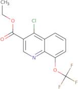 4-Chloro-8-(trifluoromethoxy)quinoline-3-carboxylic acid ethyl ester