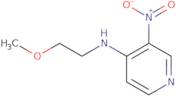 N-(2-Methoxyethyl)-3-nitropyridin-4-amine