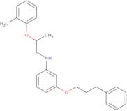 N-[2-(2-Methylphenoxy)propyl]-3-(3-phenylpropoxy)aniline